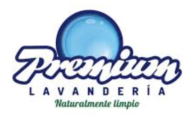 Logo Premium Lavanderia